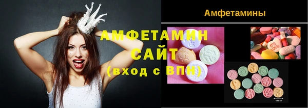 индика Армянск