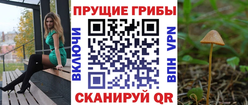 Галлюциногенные грибы Magic Shrooms  площадка наркотические препараты  Болохово  дарнет шоп 